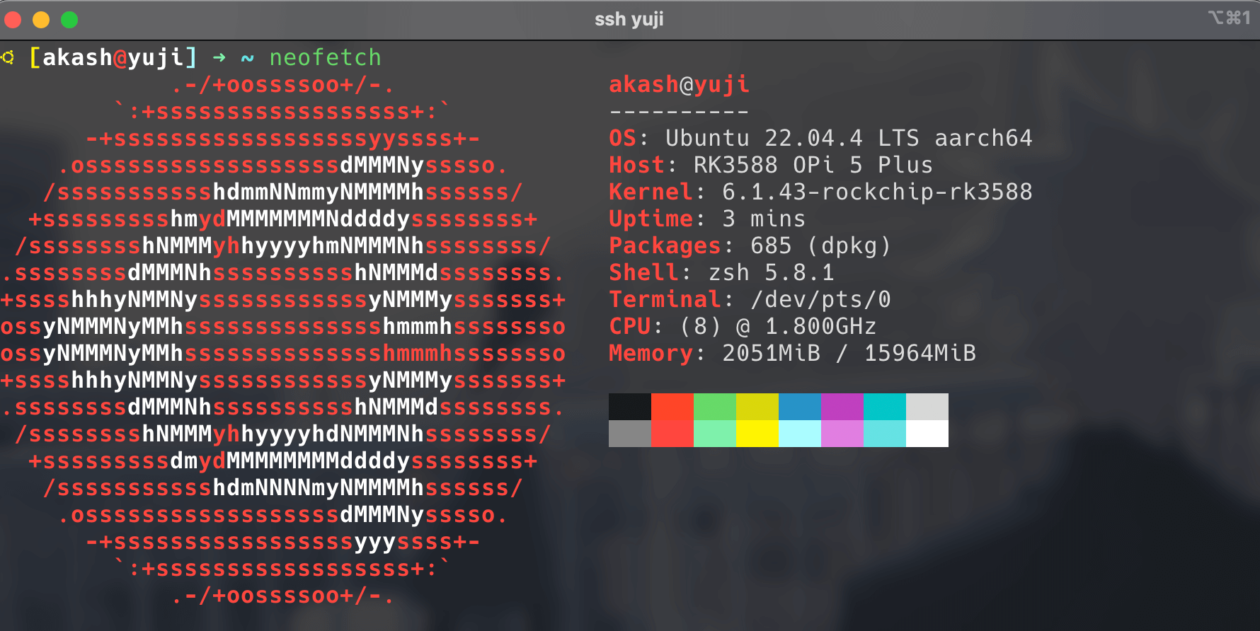 Terminal screenshot